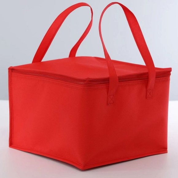 Foldable Insulated Cooler Box With Straps (2-Pack) Red Portable Cooler Bag - Picture 3 of 6